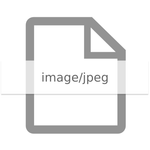 Ficha de producto 1