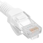 RL17300 - 03