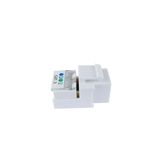 RT03600 - 02