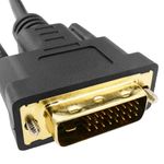 YP03300 - 02