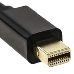 YP08000 - 03