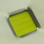 NF08300 - 06