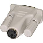 CS01300 - 01