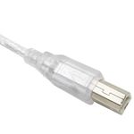 IC09300 - 08