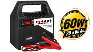 Cargador bateria con ácido 6V - 12V con switch 6A