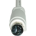 CS00100 - 02