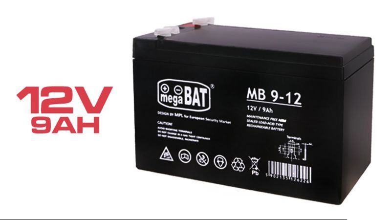 BAT 209 - 01