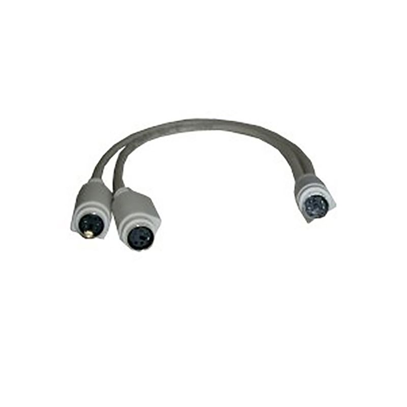 CS08100 - 01